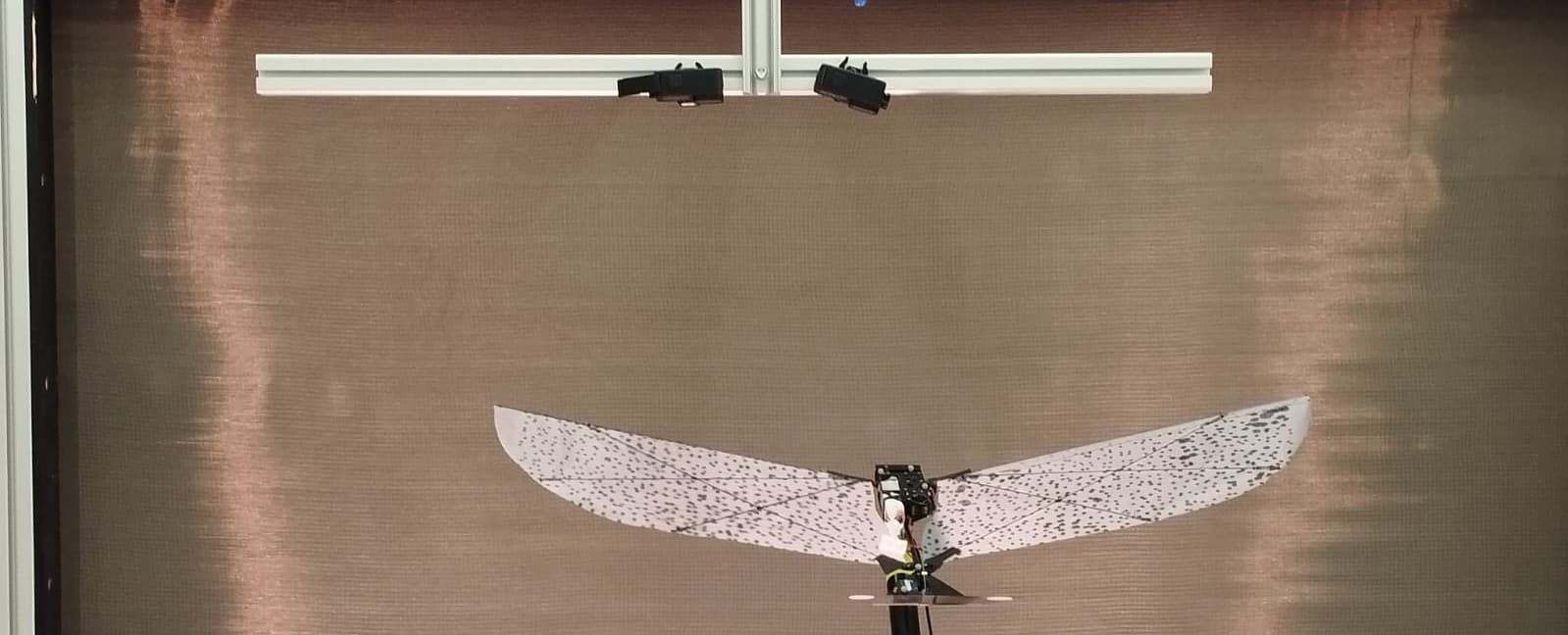 Experimental Setup for DIC